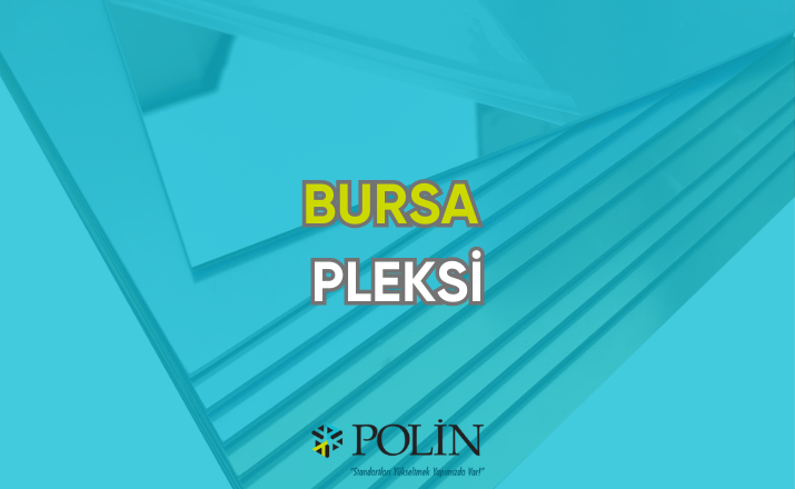 bursa-pleksi